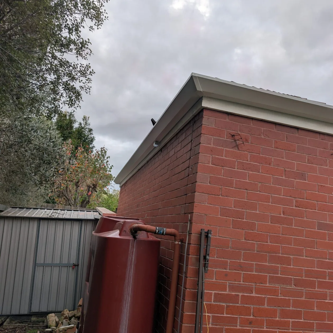 Downpipe running into a rainwater tank beside a brick wall