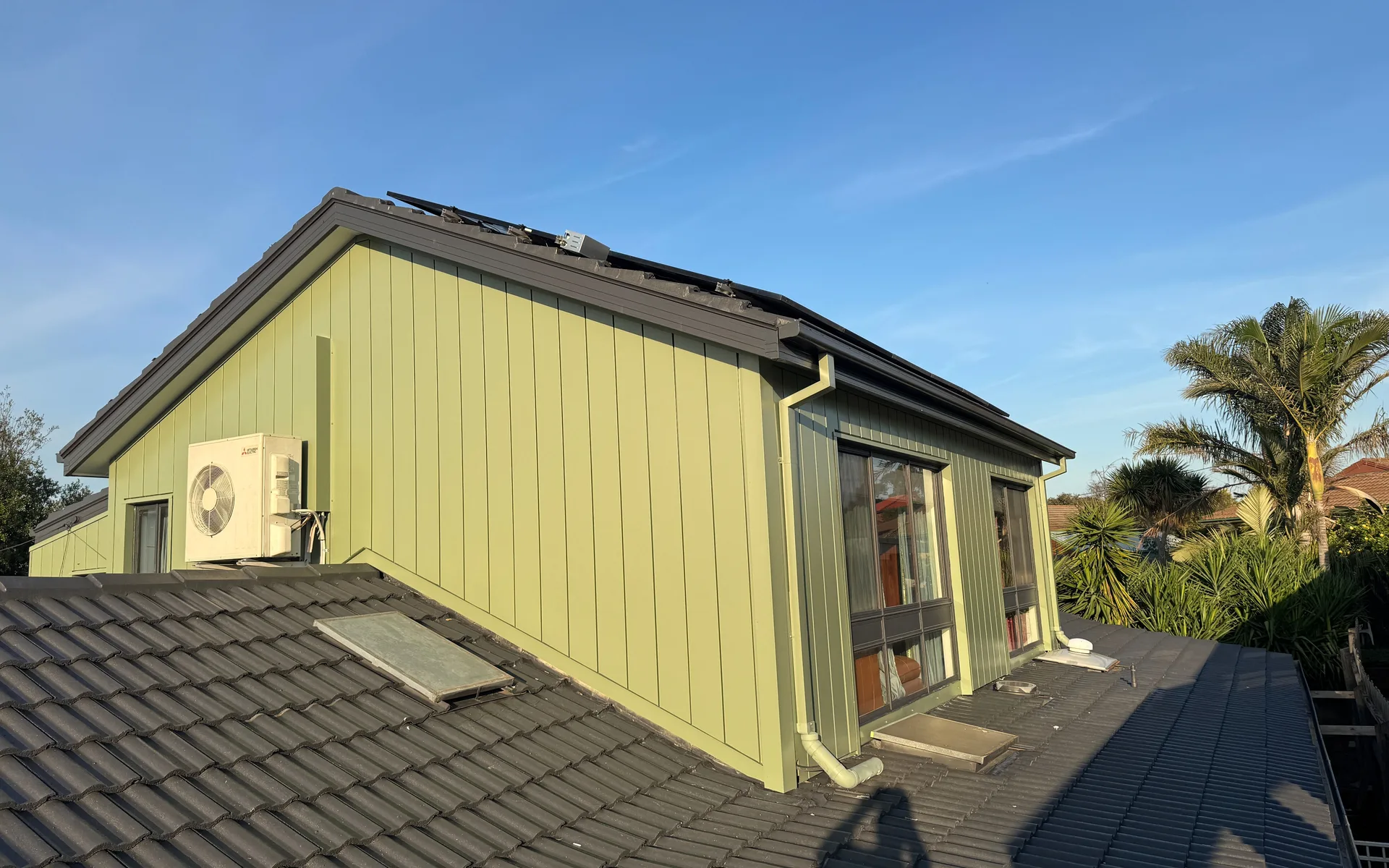 Green vertical metal cladding on the gable of a home, with a palm tree behind