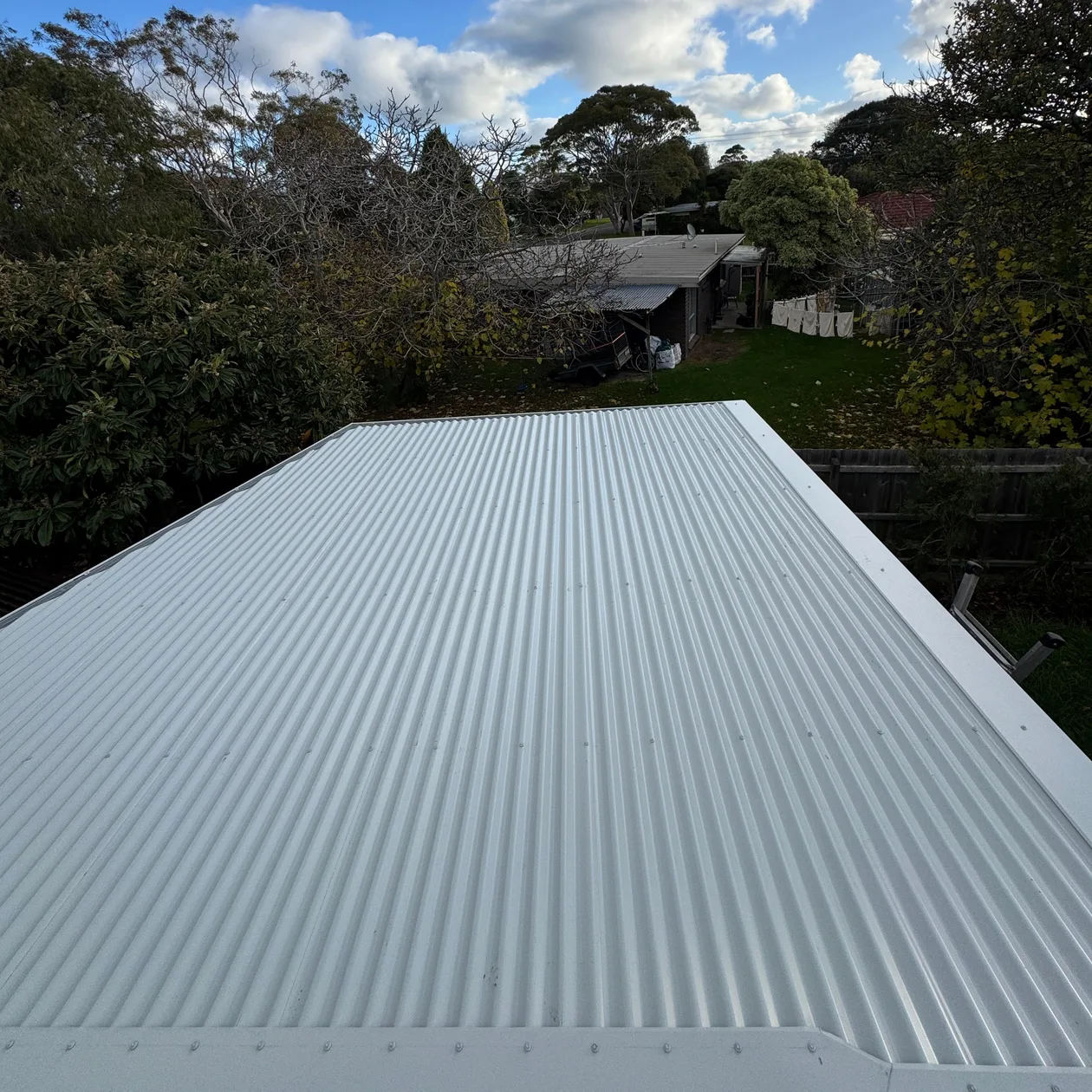 Pale corrugated metal roof above a leafy suburban backyard